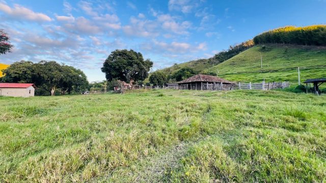 FAZENDA 145 HECTARES-25 KM DE TEÓFILO OTONI – R$ 3.000.000,00