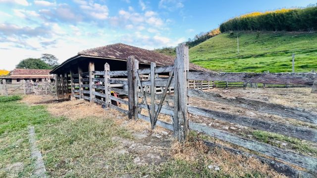 EXCELENTE FAZENDA 145 HECTARES – 25 KM DE TEÓFILO OTONI – R$ 3.000.000,00