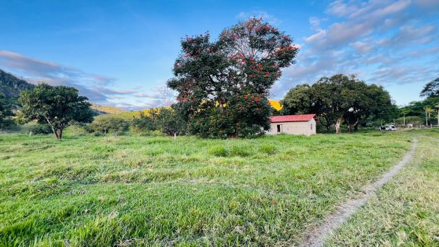 FAZENDA 145 HECTARES-25 KM DE TEÓFILO OTONI – R$ 3.000.000,00