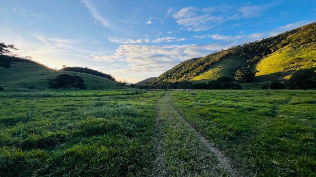 FAZENDA 145 HECTARES-25 KM DE TEÓFILO OTONI – R$ 3.000.000,00