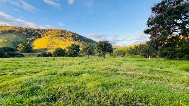 EXCELENTE FAZENDA 145 HECTARES – 25 KM DE TEÓFILO OTONI – R$ 3.000.000,00