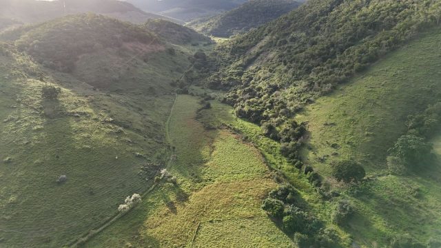 FAZENDA 145 HECTARES-25 KM DE TEÓFILO OTONI – R$ 3.000.000,00