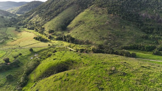 FAZENDA 145 HECTARES-25 KM DE TEÓFILO OTONI – R$ 3.000.000,00