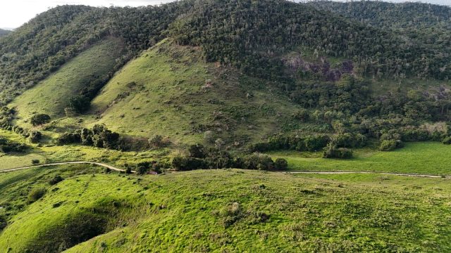 FAZENDA 145 HECTARES-25 KM DE TEÓFILO OTONI – R$ 3.000.000,00