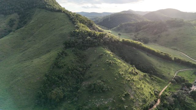 EXCELENTE FAZENDA 145 HECTARES – 25 KM DE TEÓFILO OTONI – R$ 3.000.000,00
