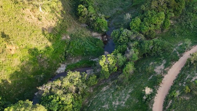 FAZENDA 145 HECTARES-25 KM DE TEÓFILO OTONI – R$ 3.000.000,00