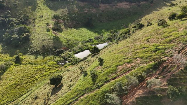 FAZENDA 145 HECTARES-25 KM DE TEÓFILO OTONI – R$ 3.000.000,00