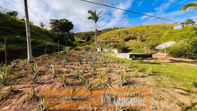 CHÁCARA 04 ALQ.20 MINUT.TEÓFILO OTONI – R$ 500.000,00