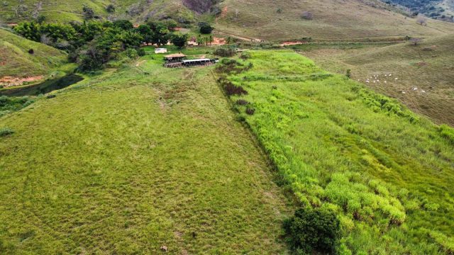 FAZENDA 548 HA – FREI GASPAR – R$ 9.600.000,00