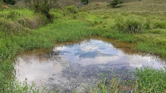 FAZENDA 548 HA – FREI GASPAR – R$ 9.600.000,00