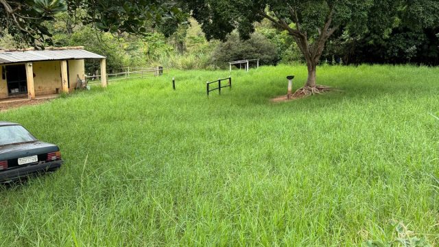 FAZENDA 548 HA – FREI GASPAR – R$ 9.600.000,00