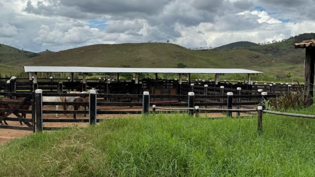 FAZENDA 548 HA – FREI GASPAR – R$ 9.600.000,00