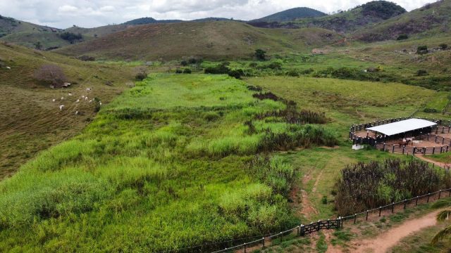FAZENDA 548 HA – FREI GASPAR – R$ 9.600.000,00