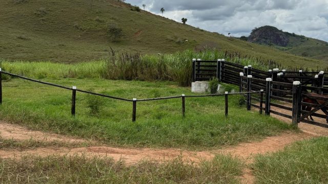 FAZENDA 548 HA – FREI GASPAR – R$ 9.600.000,00