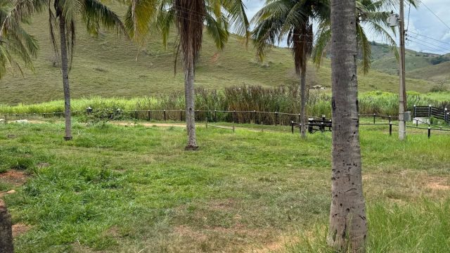 FAZENDA 548 HA – FREI GASPAR – R$ 9.600.000,00