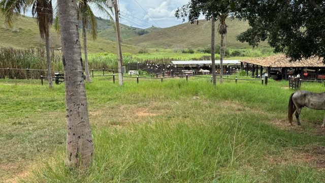 FAZENDA 548 HA – FREI GASPAR – R$ 9.600.000,00
