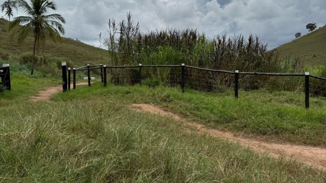 FAZENDA 548 HA – FREI GASPAR – R$ 9.600.000,00
