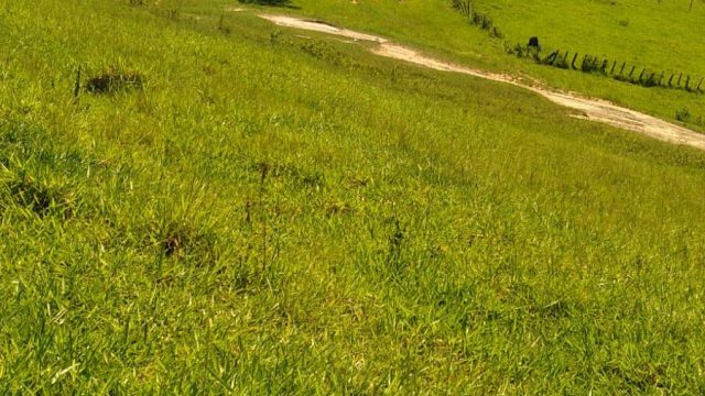 EXCELENTE FAZENDA DE 37,5 ALQUEIRÃO – ITAMARAJÚ – BA – R$ 24.375.000,00