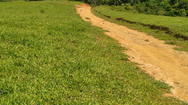 EXCELENTE FAZENDA DE 37,5 ALQUEIRÃO – ITAMARAJÚ – BA – R$ 24.375.000,00