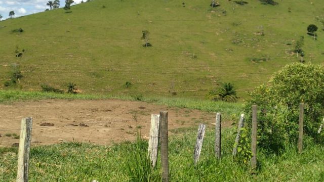 EXCELENTE FAZENDA DE 37,5 ALQUEIRÃO – ITAMARAJÚ – BA – R$ 24.375.000,00