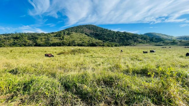 FAZENDA 21 ALQUEIRES – NOVO HORIENTE MG – R$ 1.900.000,00