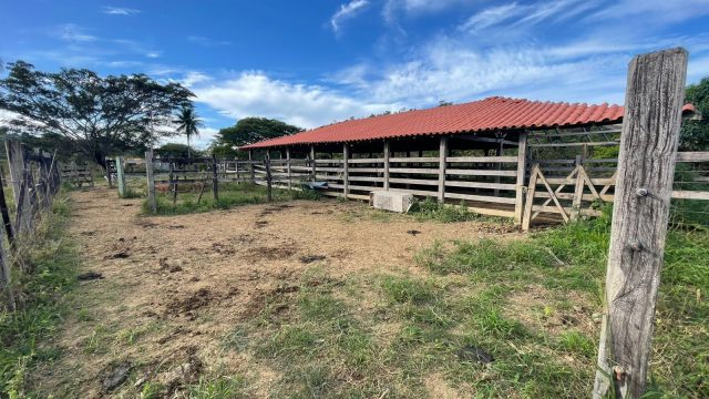 FAZENDA 21 ALQUEIRES – NOVO HORIENTE MG – R$ 1.900.000,00