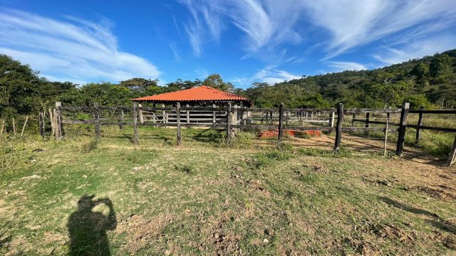 FAZENDA 21 ALQUEIRES – NOVO HORIENTE MG – R$ 1.900.000,00