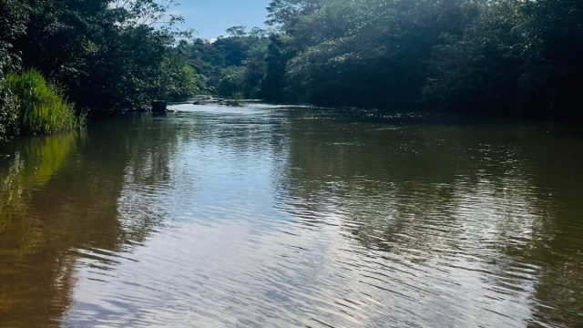 FAZENDA 21 ALQUEIRES – NOVO HORIENTE MG – R$ 1.900.000,00