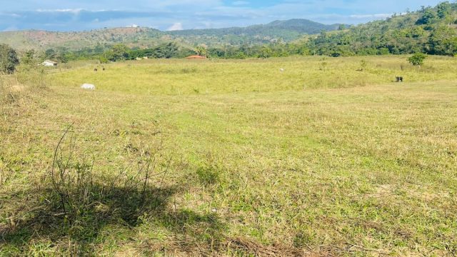FAZENDA 21 ALQUEIRES – NOVO HORIENTE MG – R$ 1.900.000,00