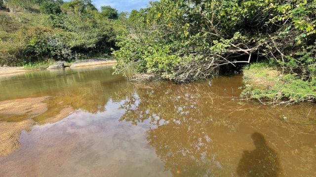 FAZENDA 21 ALQUEIRES – NOVO HORIENTE MG – R$ 1.900.000,00