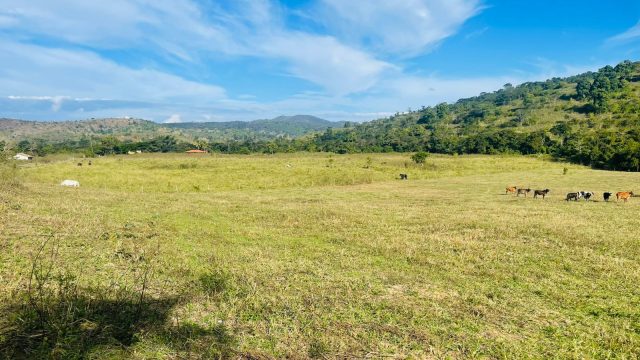 FAZENDA 21 ALQUEIRES – NOVO HORIENTE MG – R$ 1.900.000,00