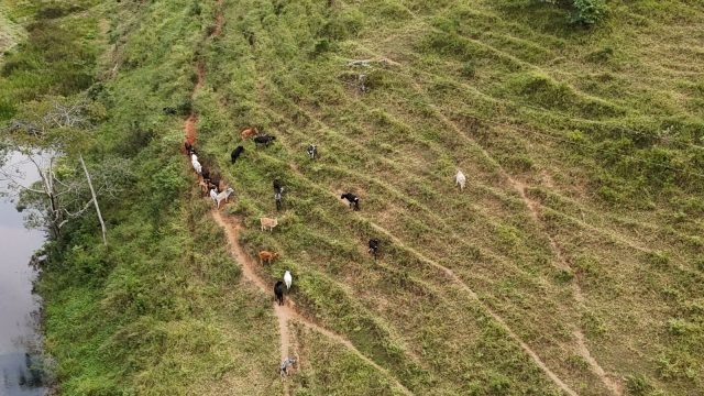 FAZENDA 40 ALQ.28 MINUT.TEÓFILO OTONI – R$ 3.200.000,00