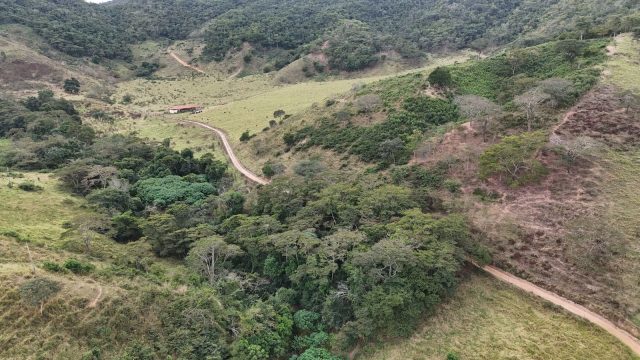 FAZENDA 40 ALQ.28 MINUT.TEÓFILO OTONI – R$ 3.200.000,00