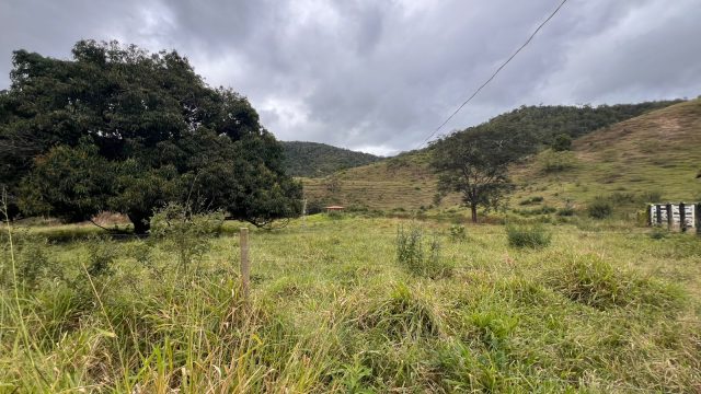 FAZENDA 40 ALQ.28 MINUT.TEÓFILO OTONI – R$ 3.200.000,00