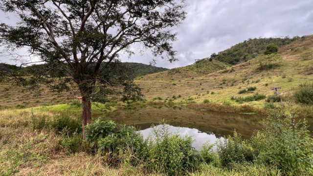 FAZENDA 40 ALQ.28 MINUT.TEÓFILO OTONI – R$ 3.200.000,00