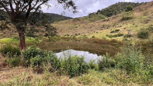 FAZENDA 40 ALQ.28 MINUT.TEÓFILO OTONI – R$ 3.200.000,00