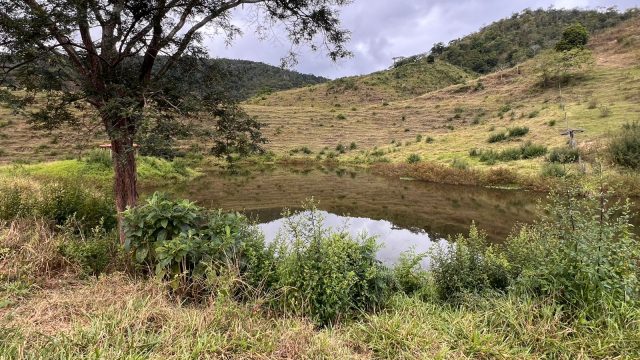 FAZENDA 40 ALQ.28 MINUT.TEÓFILO OTONI – R$ 3.200.000,00