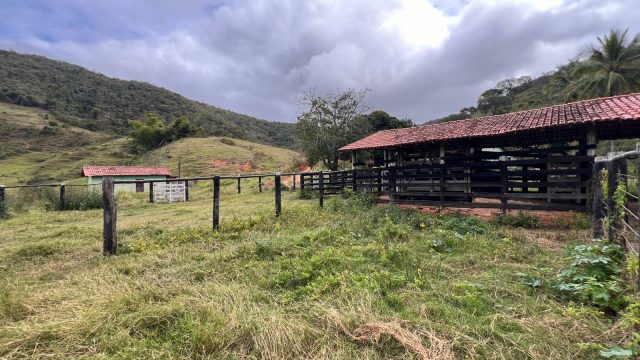 FAZENDA 40 ALQ.28 MINUT.TEÓFILO OTONI – R$ 3.200.000,00