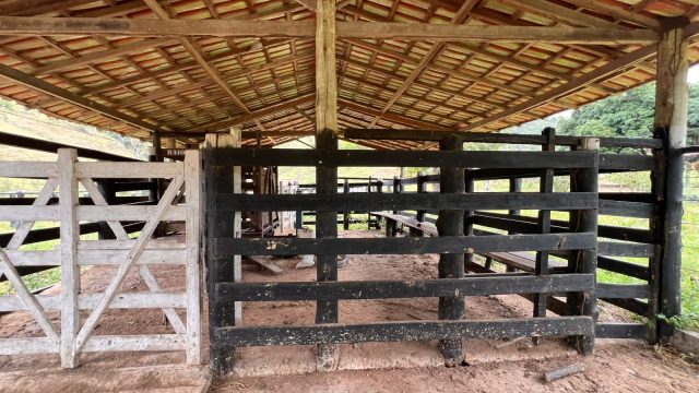 FAZENDA 40 ALQ.28 MINUT.TEÓFILO OTONI – R$ 3.200.000,00