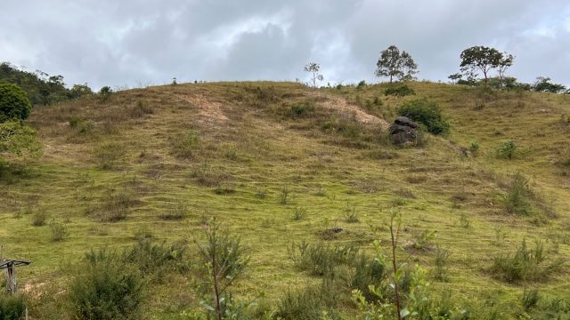 FAZENDA 40 ALQ.28 MINUT.TEÓFILO OTONI – R$ 3.200.000,00