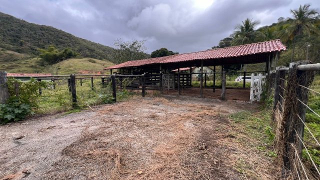 FAZENDA 40 ALQ.28 MINUT.TEÓFILO OTONI – R$ 3.200.000,00