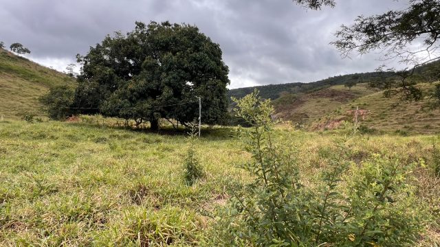FAZENDA 40 ALQ.28 MINUT.TEÓFILO OTONI – R$ 3.200.000,00