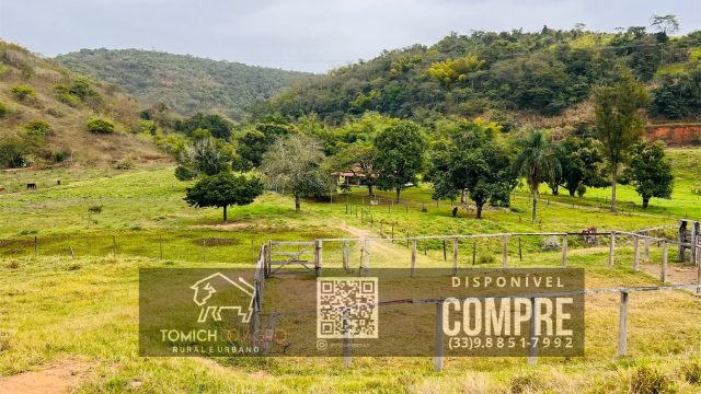 EXCELENTE FAZENDA 35 ALQ.25 MINUT.TEÓFILO OTONI – R$ 3.500.000,00