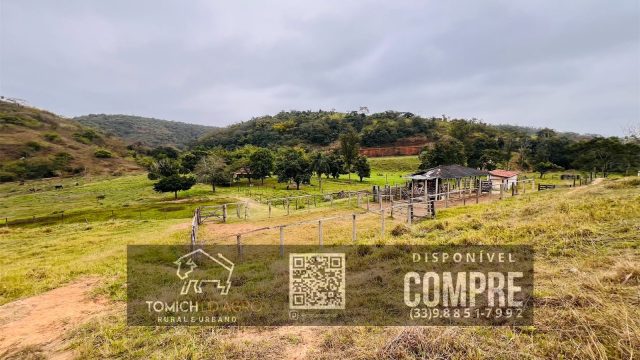 EXCELENTE FAZENDA 35 ALQ.25 MINUT.TEÓFILO OTONI – R$ 3.500.000,00
