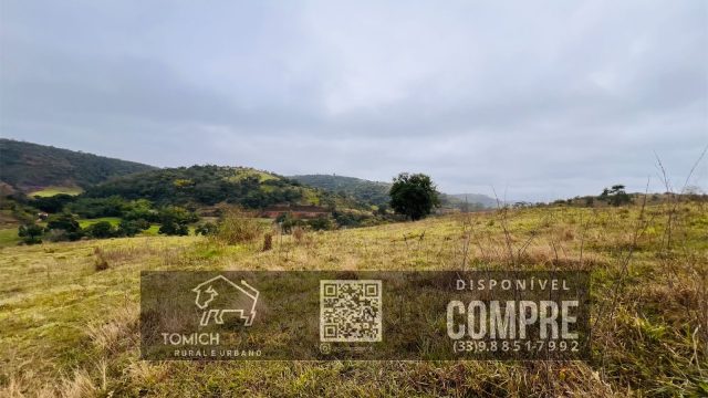EXCELENTE FAZENDA 35 ALQ.25 MINUT.TEÓFILO OTONI – R$ 3.500.000,00