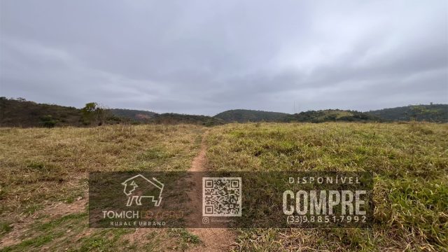 EXCELENTE FAZENDA 35 ALQ.25 MINUT.TEÓFILO OTONI – R$ 3.500.000,00