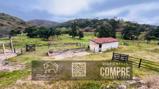 EXCELENTE FAZENDA 35 ALQ.25 MINUT.TEÓFILO OTONI – R$ 3.500.000,00