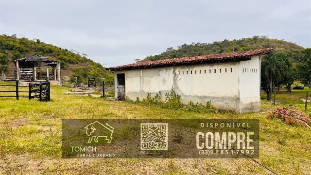 EXCELENTE FAZENDA 35 ALQ.25 MINUT.TEÓFILO OTONI – R$ 3.500.000,00