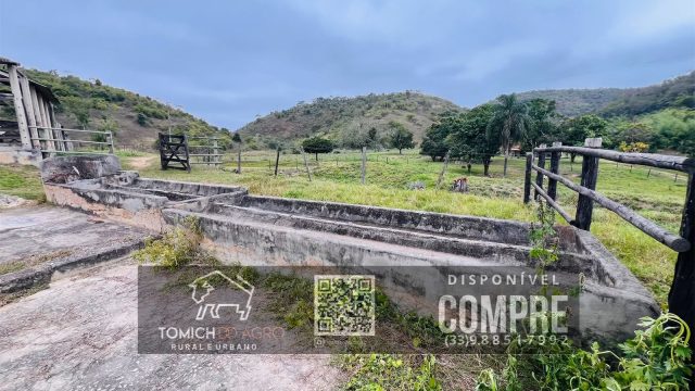 EXCELENTE FAZENDA 35 ALQ.25 MINUT.TEÓFILO OTONI – R$ 3.500.000,00