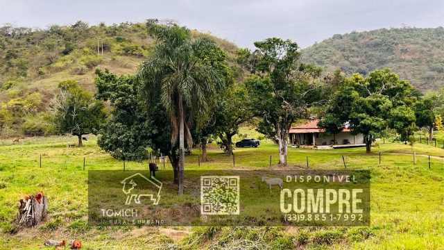EXCELENTE FAZENDA 35 ALQ.25 MINUT.TEÓFILO OTONI – R$ 3.500.000,00